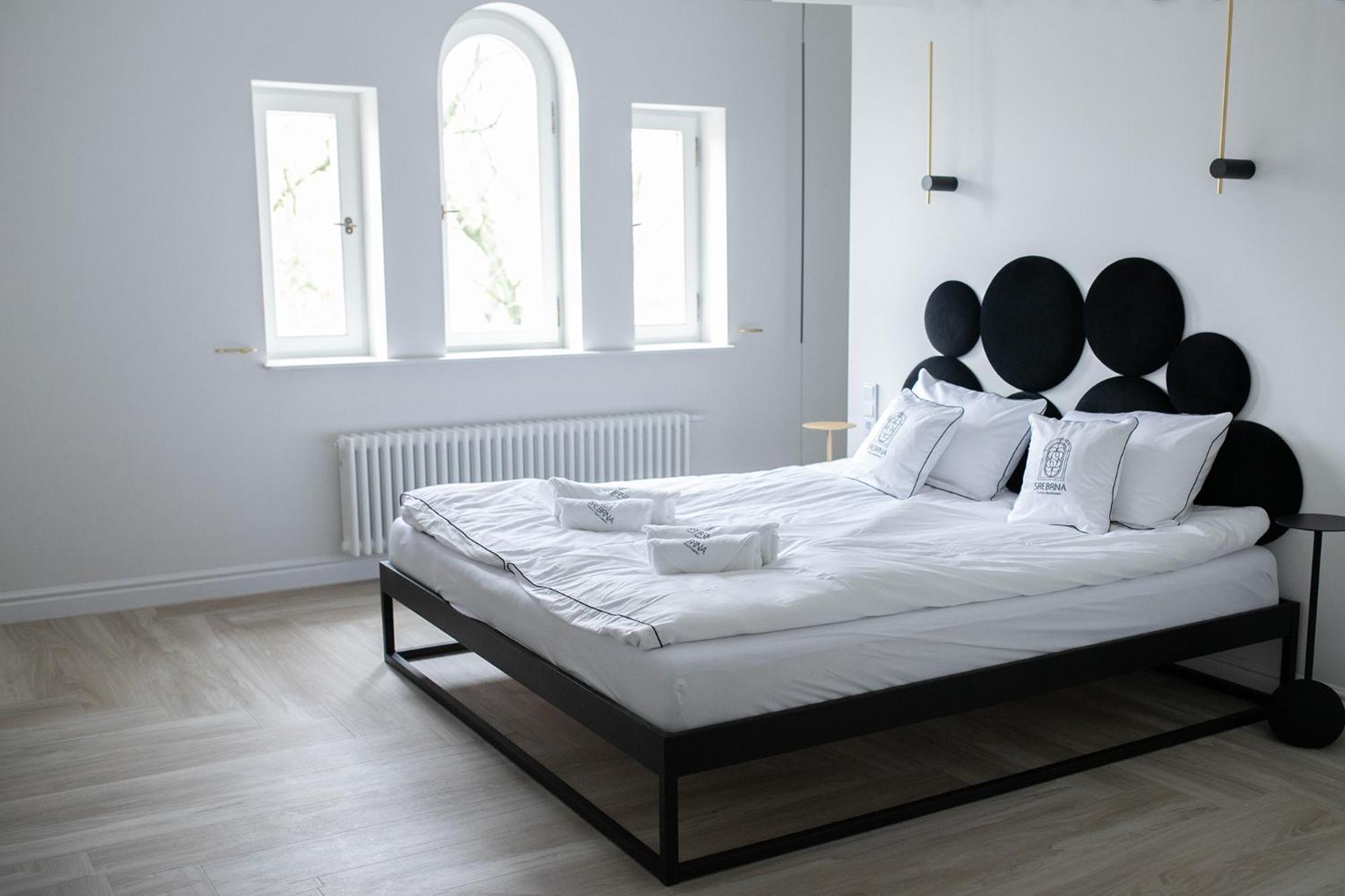 Srebrna Luxury Apartments - Willa Fabrykancka - Wnetrza Premium Łódź Zewnętrze zdjęcie